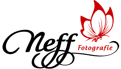 3D-Sicht und google Street View für Fotostudio Neff Fotografie